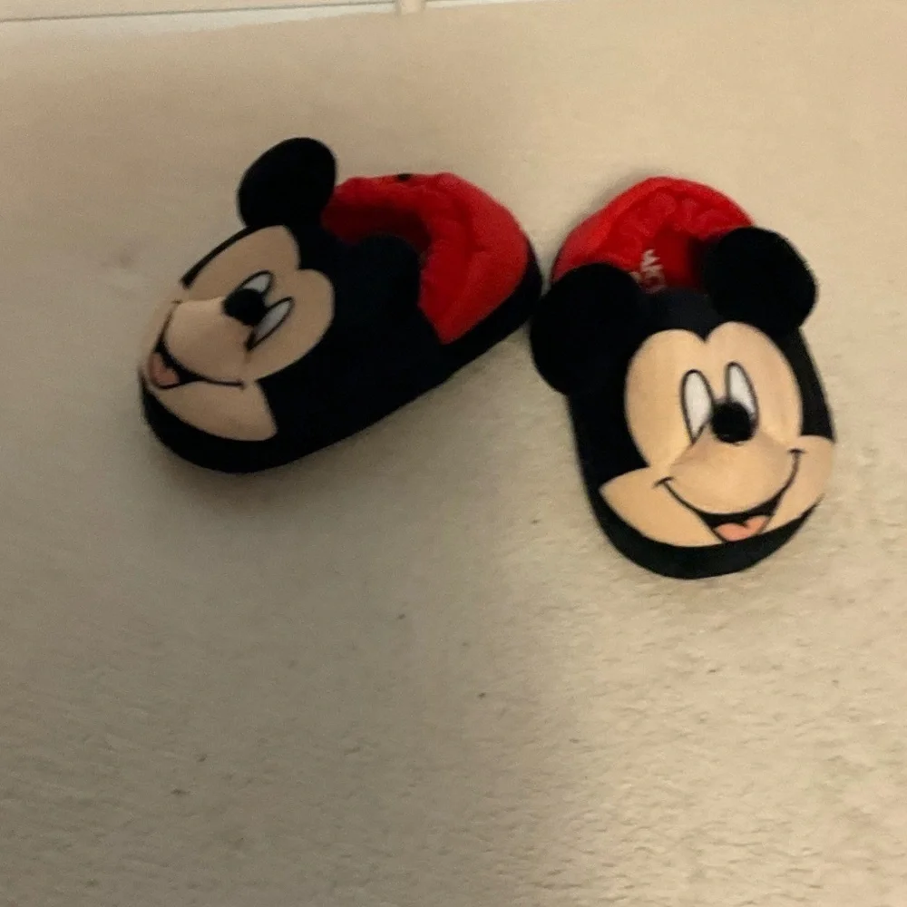 Mickey cozy fun